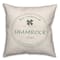 Shamrock Shop 18" x 18" Indoor / Outdoor Pillow